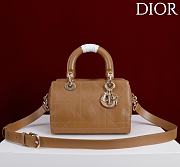 Kitlife Dior Lady Cannage Handbag Brown Leather 24×27×14cm  - 1