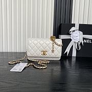 Kitlife Chanel Woc Bag White AP3938 19cm - 1