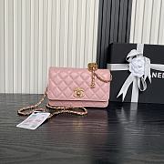 Kitlife Chanel Woc Bag Pink AP3938 19cm  - 1
