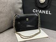 Kitlife Chanel 25ss Hollowed-out mesh Crescent Moon Bag Black 15x21.5cm - 4