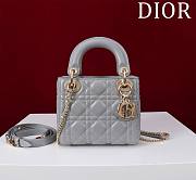 Kitlife Dior Lady Diana Grey Leather Bag M0505 17x15x7cm - 1