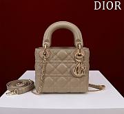 Kitlife Dior Lady Diana Taupe Leather Bag M0505 17x15x7cm  - 1