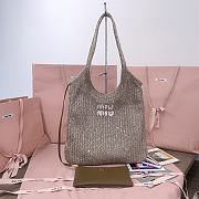 Kitlife Miu Miu Ivy Sequin Mesh Bag Tundra 35x40cm  - 1