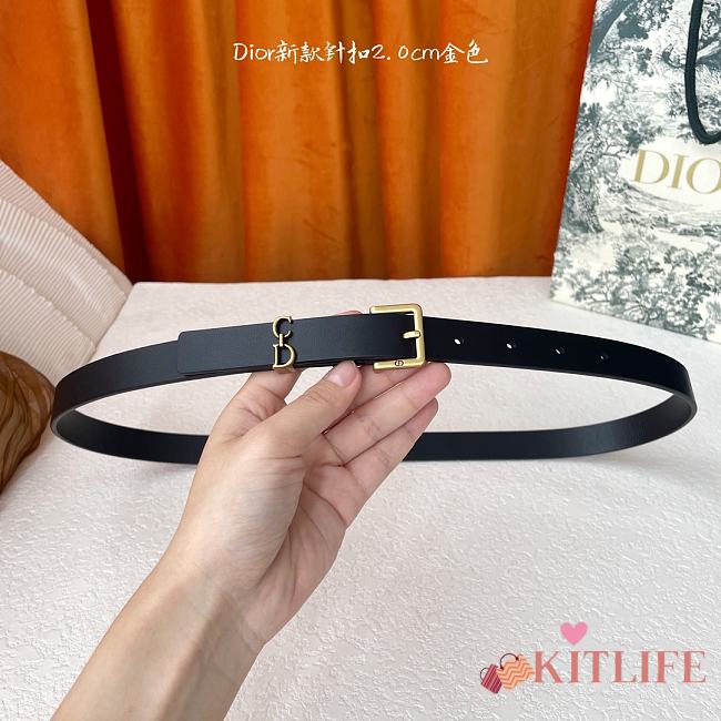 Kitlife Dior Saddle Loop Belt Black 2cm - 1