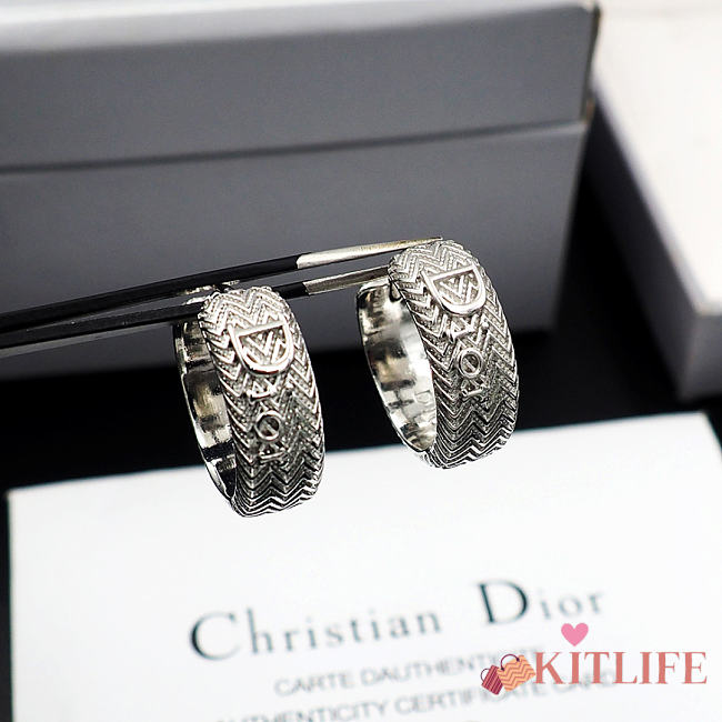 Kitlife Dior Wave Earrings Silver - 1