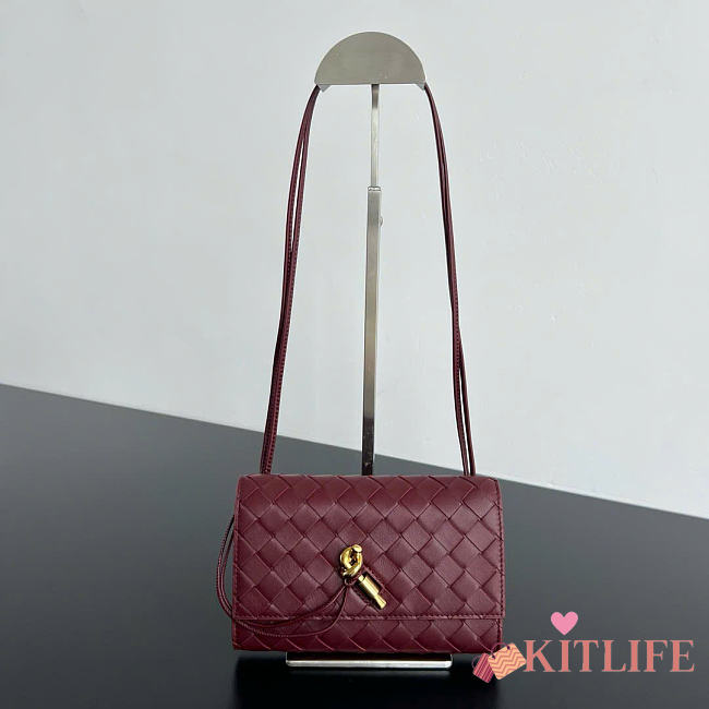 Kitlife Bottega Veneta Andiamo Pouch on Strap Burgundy 836940 19x13x2cm - 1