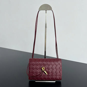 Kitlife Bottega Veneta Andiamo Pouch on Strap Burgundy 836940 19x13x2cm