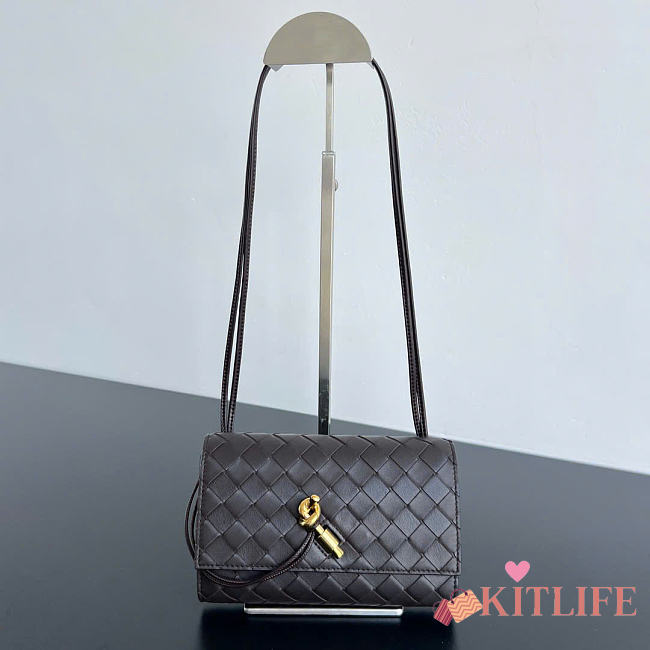 Kitlife Bottega Veneta Andiamo Pouch on Strap Dark Brown 836940 19x13x2cm  - 1