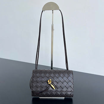 Kitlife Bottega Veneta Andiamo Pouch on Strap Dark Brown 836940 19x13x2cm 