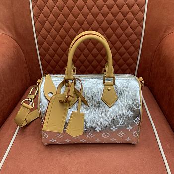 Kitlife Louis Vuitton Sac Speedy P9 Bandoulière 25 Bag Silver M2A420 25x15x15cm