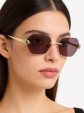 Kitlife Cartier Sunglasses CT0636S