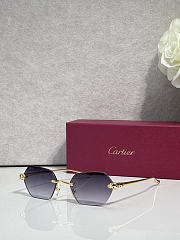 Kitlife Cartier Sunglasses CT0636S - 6