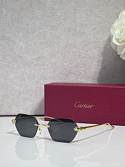 Kitlife Cartier Sunglasses CT0636S - 4