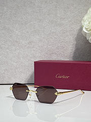 Kitlife Cartier Sunglasses CT0636S - 2