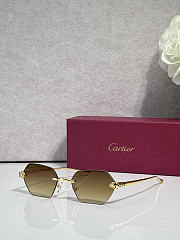Kitlife Cartier Sunglasses CT0636S - 3