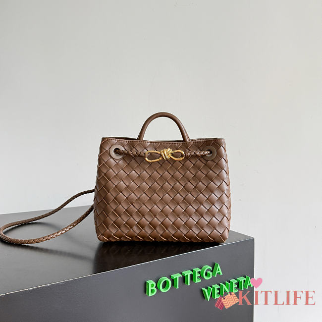 Kitlife Bottega Veneta Andiamo Small Bag Dark Brown 743568 25x22x10.5cm  - 1