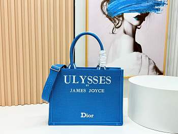 Kitlife Dior Medium Book Tote with Strap Blue and White Book Cover Embroidery 36x27x16cm
