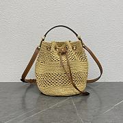 Kitlife Celine Teen Clara Bag In Raffia And Brown Calfskin 117862 23x25x20cm - 1