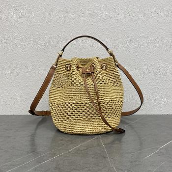 Kitlife Celine Teen Clara Bag In Raffia And Brown Calfskin 117862 23x25x20cm