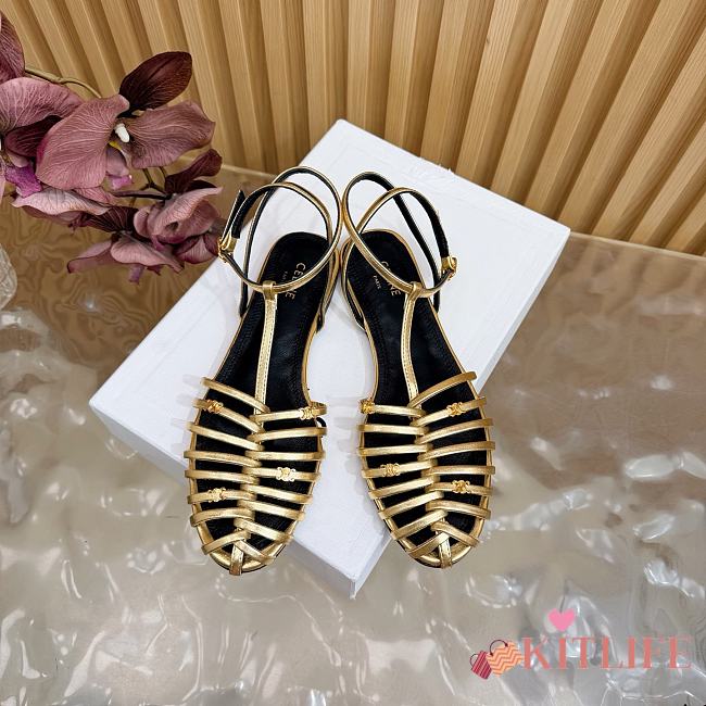 Kitlife Celine Cage Flat Sandal In Gold Goatskin - 1