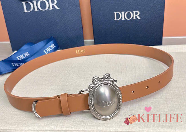 Kitlife Dior Médaillon Belt Brown Smooth Calfskin Silver Hardware 25mm  - 1