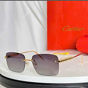 Kitlife Cartier Sunglasses CT0545 - 1