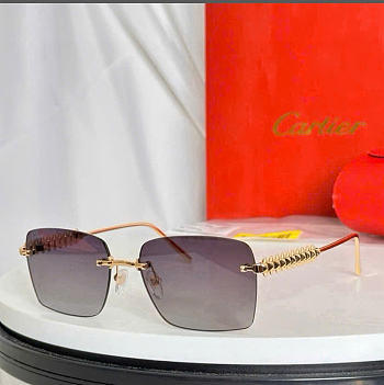 Kitlife Cartier Sunglasses CT0545