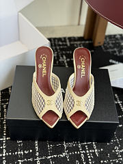 Kitlife Chanel Mesh Pointed-Toe High-Heeled Mule Sandals Beige  - 1