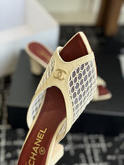 Kitlife Chanel Mesh Pointed-Toe High-Heeled Mule Sandals Beige  - 3