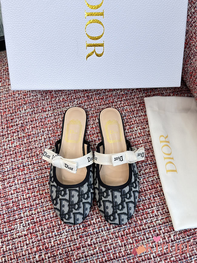 Kitlife Dior J'Adior Mules Grey Oblique  - 1
