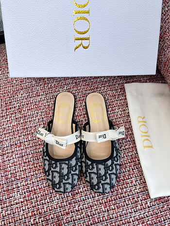 Kitlife Dior J'Adior Mules Grey Oblique 