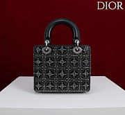Kitlife Dior Four-Compartment Embroidered Black Leather with Silver Beads 20x16.5x8cm - 6