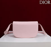 Kitlife Dior Small Médaillon Flap Bag Light Pink M3921 21x12x5.5cm - 3