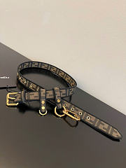 Kitlife Fendi Presbyopia Belt  - 5