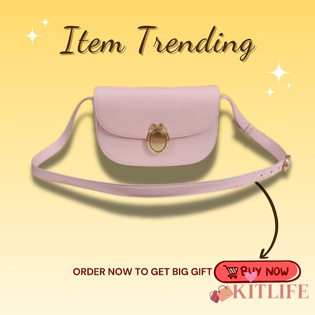 Kitlife Dior Small Médaillon Flap Bag Light Pink M3921 21x12x5.5cm - 1