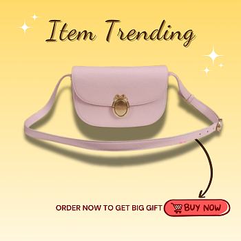 Kitlife Dior Small Médaillon Flap Bag Light Pink M3921 21x12x5.5cm
