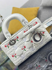 Kitlife Dior Lady D-Joy Mini Bag with Chain White Cannage Lambskin Embroidered with Multicolor Doves & Roses Motif  S0910 16x9x5cm - 5