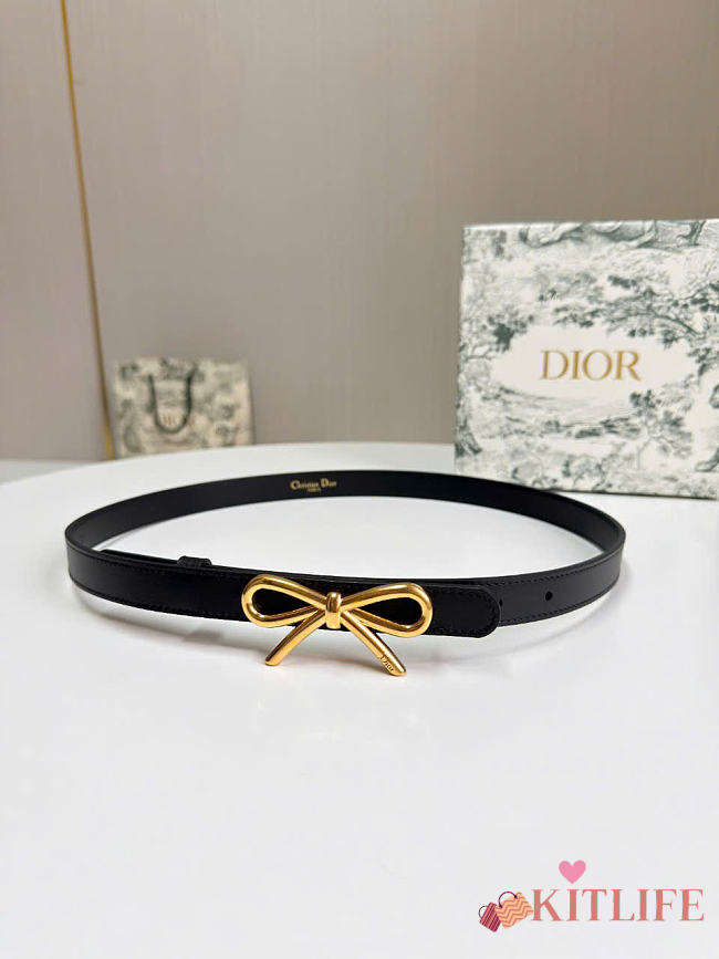 Kitlife Dior Le Nœud de Belt In Black 20mm - 1