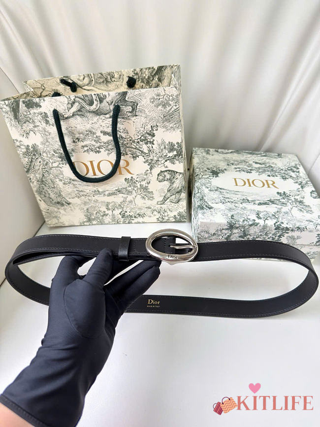 Kitlife Dior Légende Belt Black Smooth Calfskin 25mm Silver Hardware  - 1