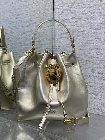 Kitlife Dior Cruise Bucket Bag Gold 24x27x12.5cm 