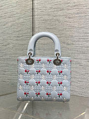 Kitlife Dior Dioramour Lady Bag White Cannage Lambskin Embroidered with Multicolor Doves & Roses Motif 20x17x8cm - 3