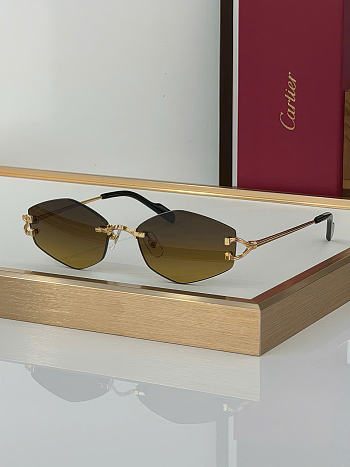 Kitlife Cartier Sunglasses CT0620S 