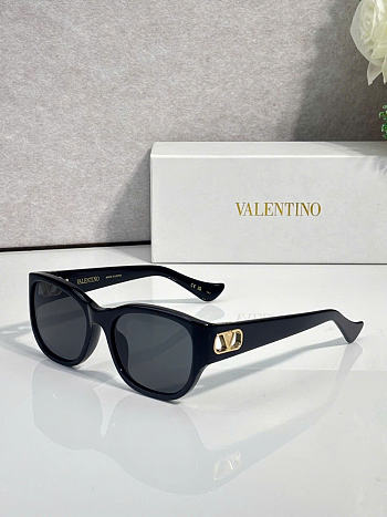 Kitlife Valentino Sunglasses VG0039SK