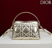 Kitlife Dior Adiorable Top Handle Mini Bag Gold Leather 22.5x13x9cm - 4