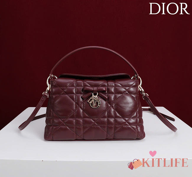 Kitlife Dior Adiorable Top Handle Mini Bag Burgundy 22.5x13x9cm - 1