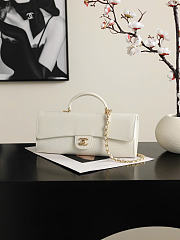 Kitlife Chanel Party Bag With Chain White Calfskin With Lizard Effect AP5280 25x9.5x5cm - 4