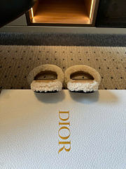 Kitlife Dior DiorAlps Dway Slide Off-White Sheepskin Shearling  - 3