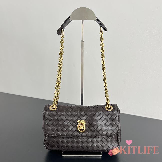 Kitlife Bottega Veneta Baby Madison Bag Dark Brown 22.5x13x4.5cm  - 1
